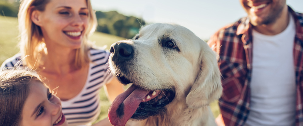 Pets téh babaturan pangalusna urang